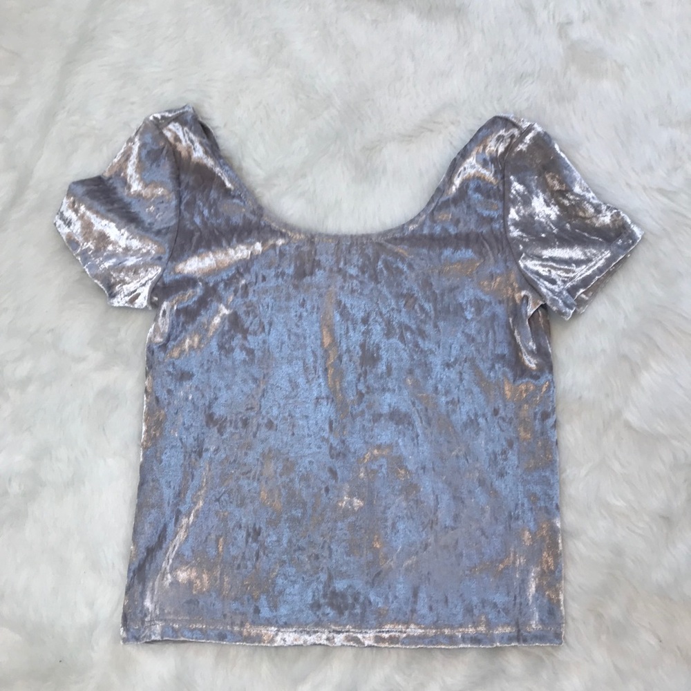 Silver Soft Velvet Crop Top Sz S